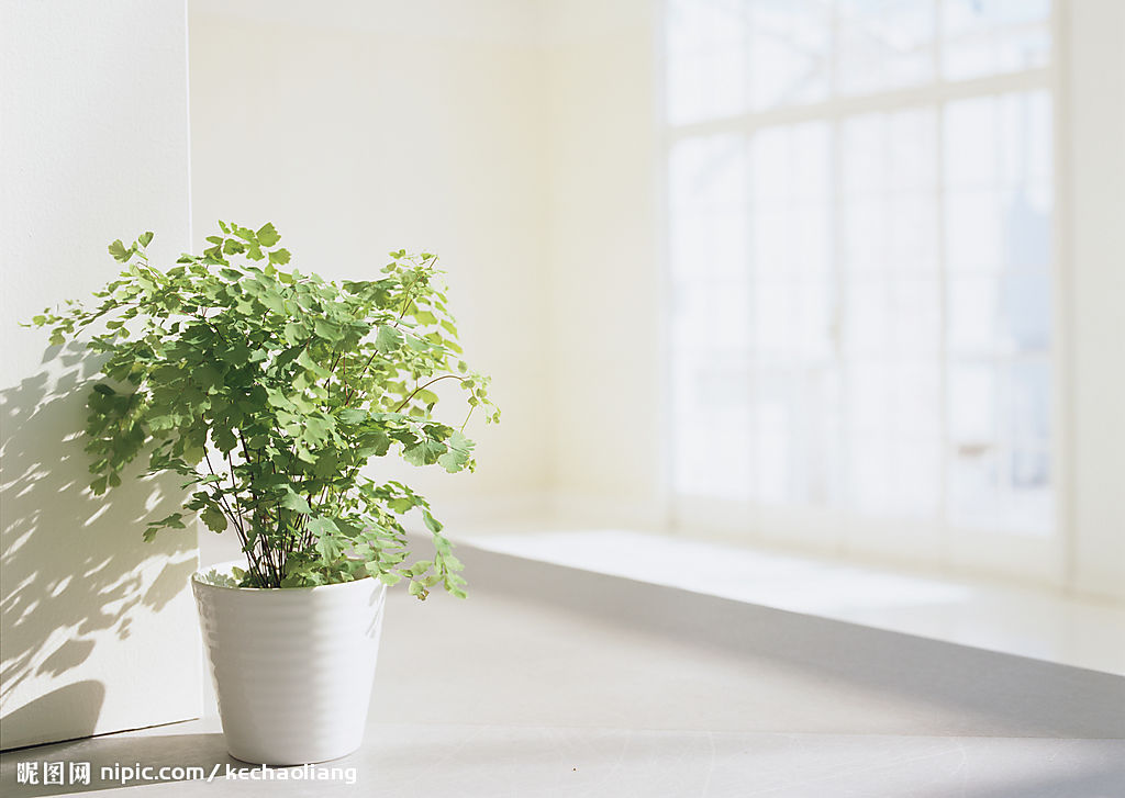 用心工作&nbsp;用情工作（物资公司&nbsp;陆宜东）