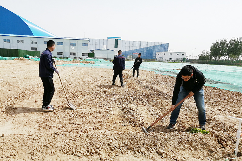 IMG_20210504_140403 (1).jpg