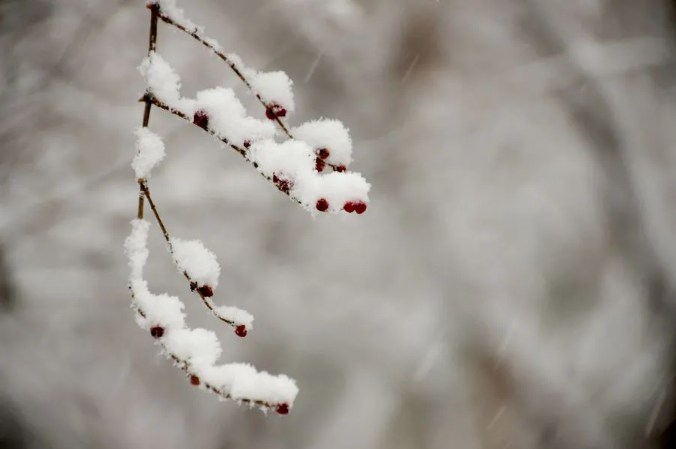 1645431466215009.png 微信截图_20220221161705.png