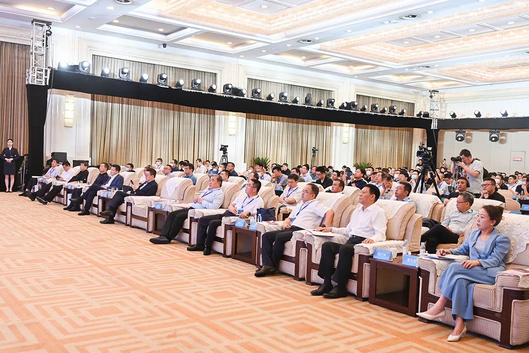 1685164601954652.jpg 640 (11).jpg