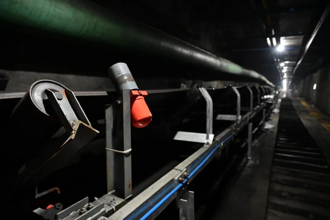 1704268276885077.jpg 6666.jpg