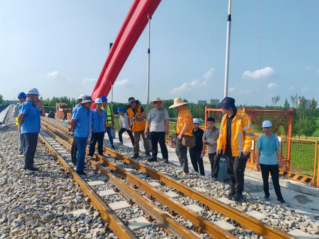 1723282087126298.jpg 0006.jpg