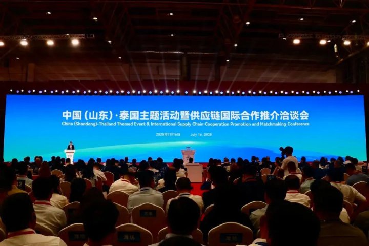 新能船业链博亮“舰”：智能绿色方案锚定全球航运供应链新生态