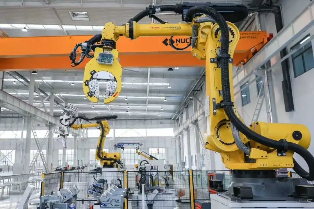 1768021017958274.jpg 02.jpg