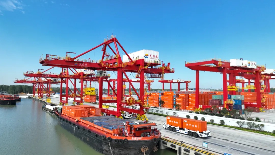 1772692835115437.jpg 05.jpg