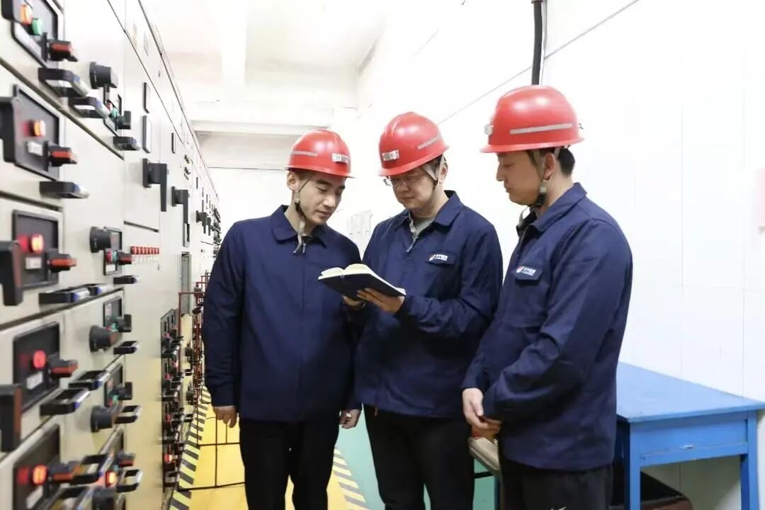 1773793067132206.jpg 003.jpg