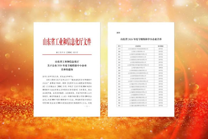 新能船业入选山东省2026年度专精特新中小企业名单